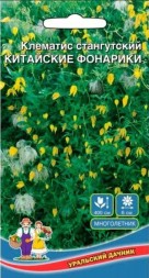 Клематис Китайские Фонарики тангутский УД