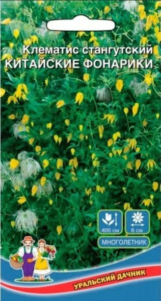 Семена Клематис Китайские Фонарики тангутский УД