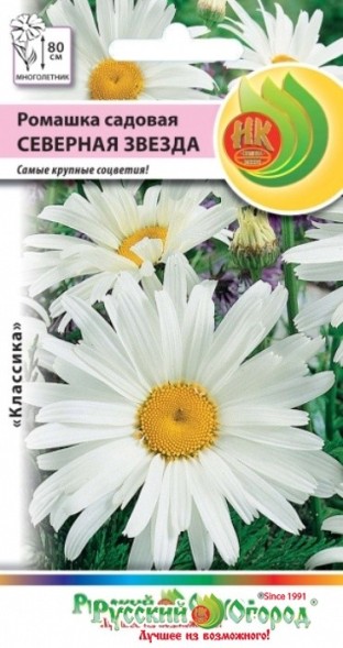 Семена Ромашка Северная Звезда садовая (НК)