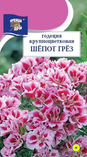 Семена Годеция крупноцветковая Шепот грез УУД