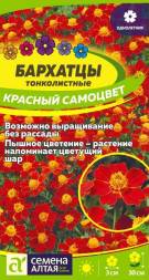 Бархатцы тонколистные Красный самоцвет (Семена Алтая)