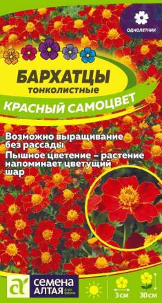 Бархатцы тонколистные Красный самоцвет (Семена Алтая)