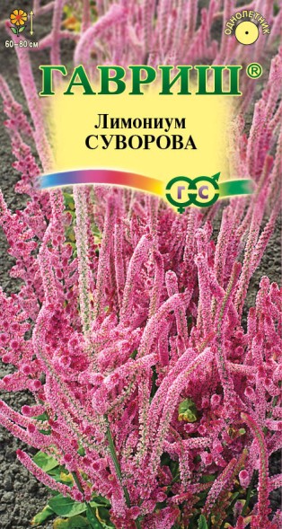 Семена Лимониум (статица) Суворова Розовый (Гавриш)