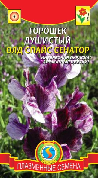 Семена Горошек душистый Олд Спайс Сенатор ПЛ