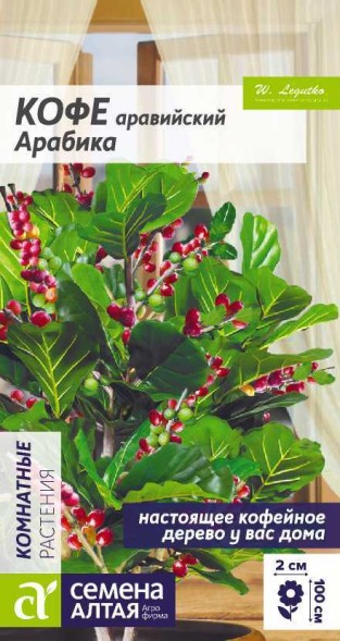Семена Кофе Арабика аравийский (Семена Алтая)