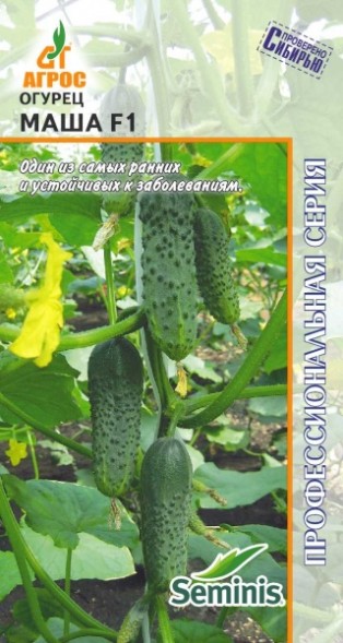 Семена Огурец Маша F1 (Агрос)