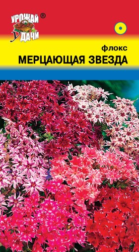 Семена Флокс Мерцающая звезда УУД