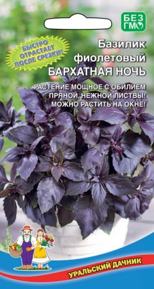 Семена Базилик Бархатная ночь - фиолетовый УД