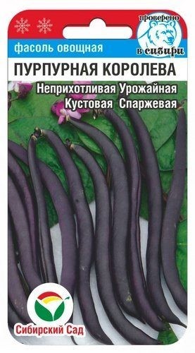 Семена Фасоль Пурпурная королева (Сиб сад)