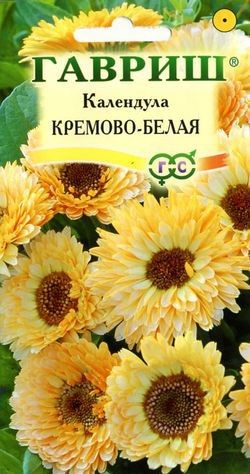 Семена Календула Кремово-белая (Гавриш)