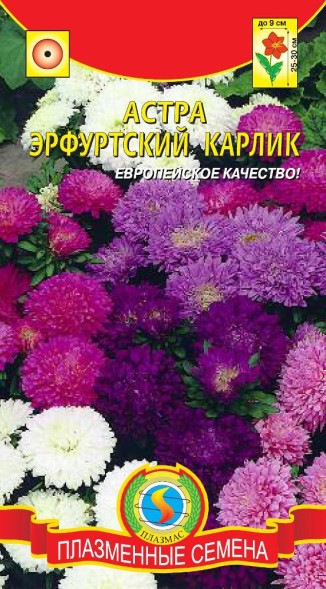 Семена Астра Эрфуртский карлик ПЛ