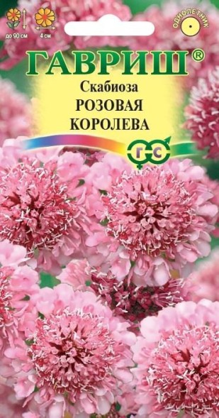 Семена Скабиоза Розовая королева (Гавриш)