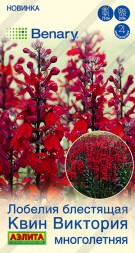 Лобелия Квин Виктория (Аэлита)