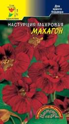 Настурция Махагон махровая ЦС