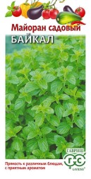 Майоран Байкал (Гавриш)