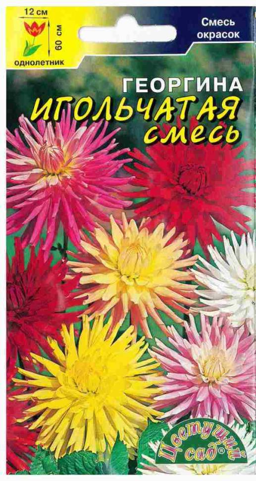 Георгина махровая смесь
