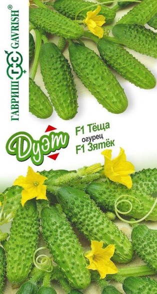 Семена Огурец Зятек F1+Теща F1 Дуэт Н17 (Гавриш)