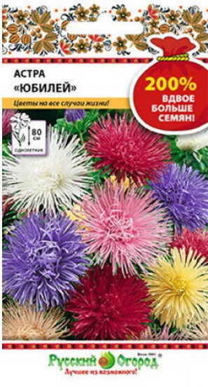 Семена Астра Юбилей игольчатая 200%  (НК)
