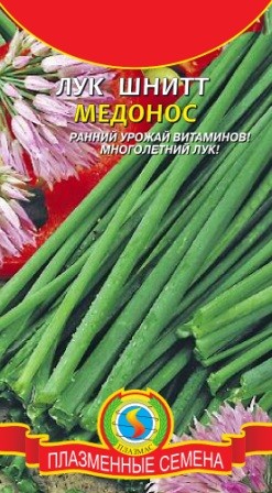Семена Лук-шнитт Медонос ПЛ