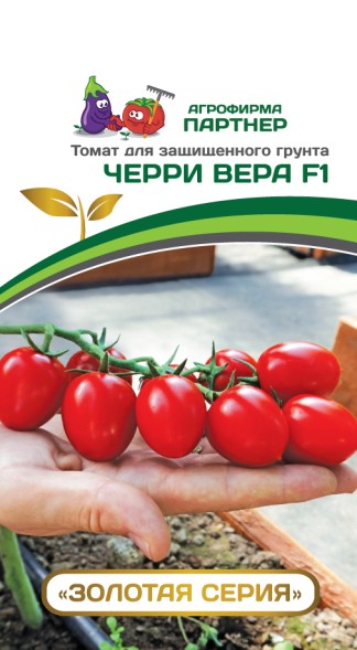 Семена Томат Черри Вера F1 (Партнер)