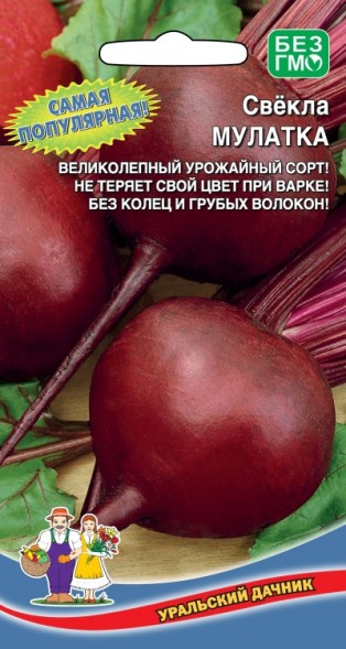 Семена Свекла Мулатка® УД