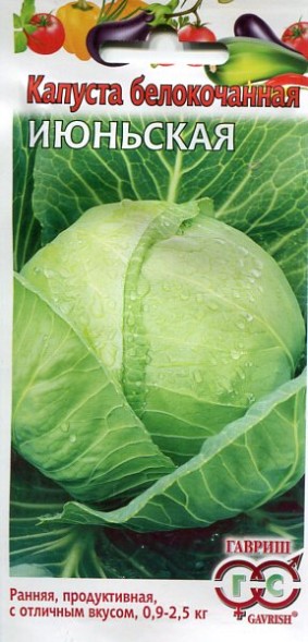 Семена Капуста белокачанная Июньская (Гавриш)