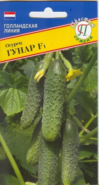 Семена Огурец Гунар F1 (Престиж)