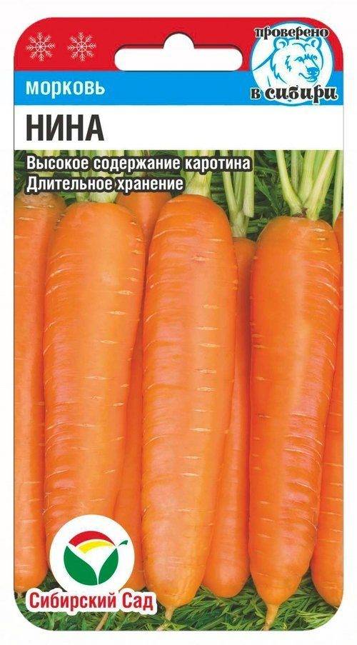 Семена Моркови Берлин Купить Новокузнецк