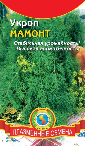 Семена Укроп Мамонт ПЛ