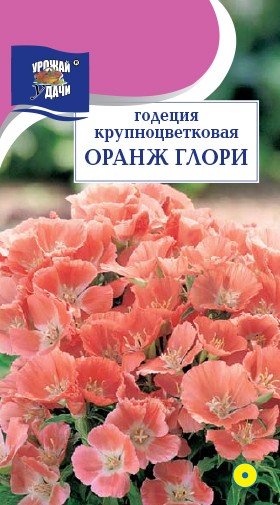 Семена Годеция крупноцвая Оранж Глори (новинка) УУД