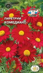 Пиретрум Робинсона Комедиант красн (Седек)