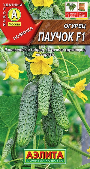 Семена Огурец Паучок F1 (Аэлита)