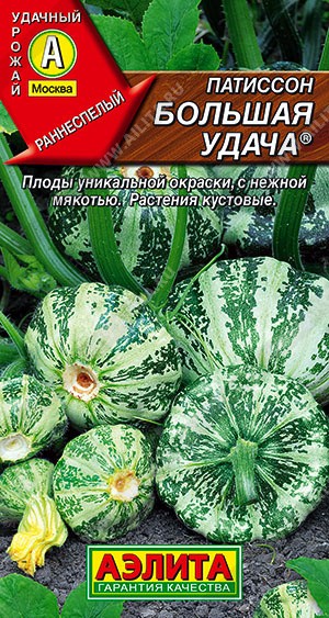 Семена Патиссон Большая удача (Аэлита)