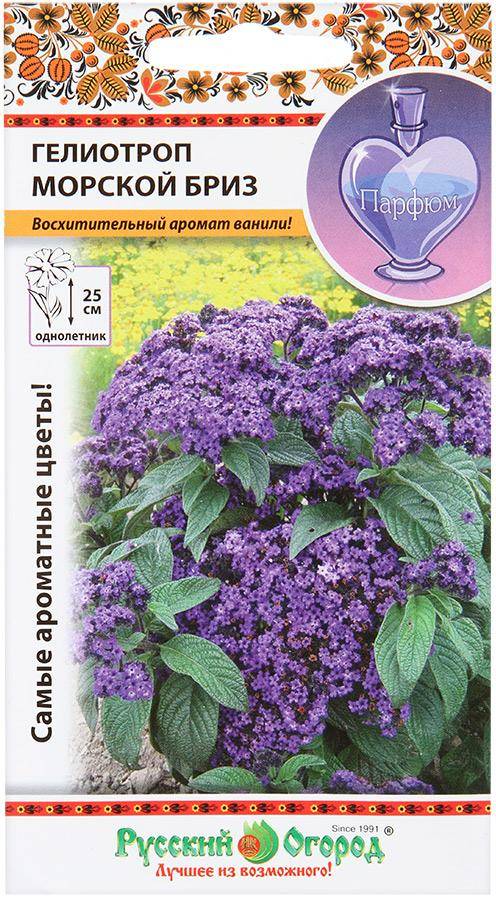 Гелиотроп Семена Купить В Магазине