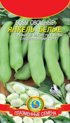 Семена Бобы овощные Янкель белые ПЛ
