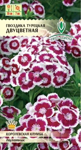 Семена Гвоздика Двуцветная турецкая (Евро-семена)
