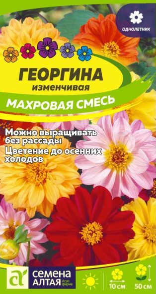 Семена Георгина Махровая смесь (Семена Алтая)