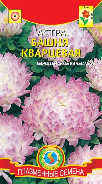Семена Астра Башня Кварцевая ПЛ