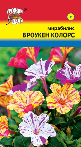 Семена Мирабилис Броукен колорс УУД