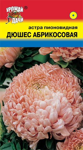 Семена Астра пионовидная Дюшес Абрикосовая УУД