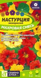 Настурция низкорослая Махровая смесь (Семена Алтая)