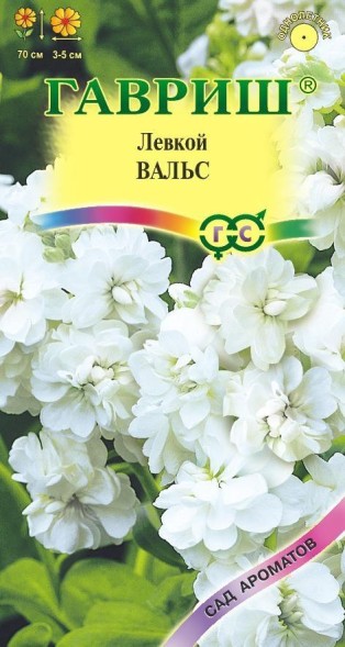 Семена Левкой Вальс (Гавриш)