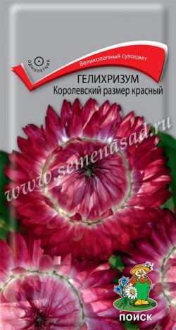 Семена Гелихризум Королевский размер красный (Поиск)