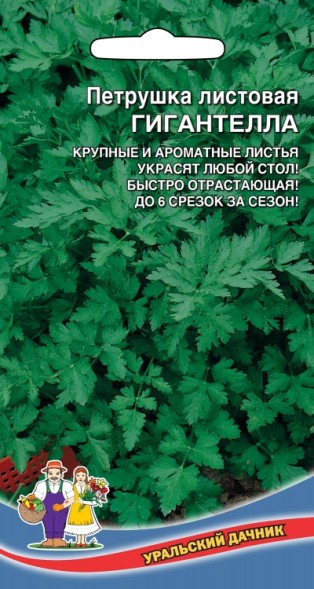 Семена Петрушка листовая Гигантелла УД