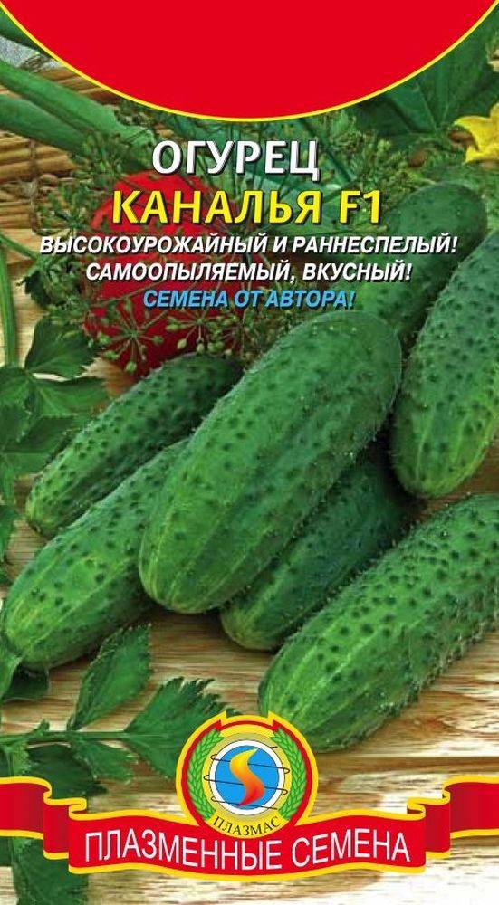 Огурец Балкан F1 Купить Семена