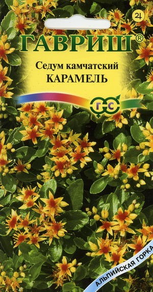 Семена Седум камчатский Карамель (Гавриш)