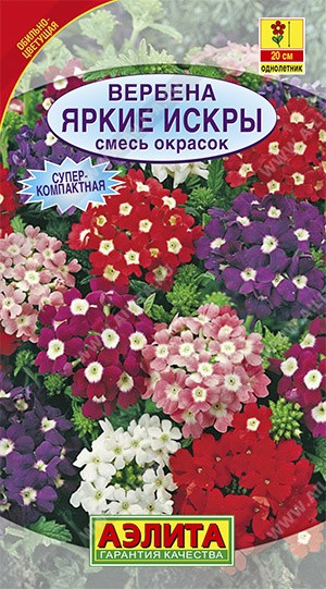 Семена Вербена Яркие искры (Аэлита)