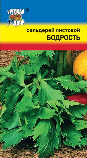 Семена Сельдерей Листовой Бодрость УУД