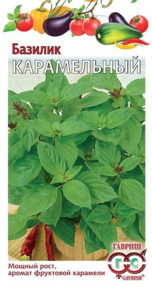 Семена Базилик Карамельный (Гавриш)