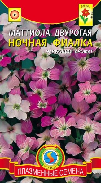 Семена Маттиола двурогая Ночная Фиалка ПЛ